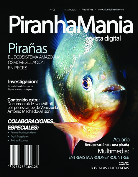 Numero5