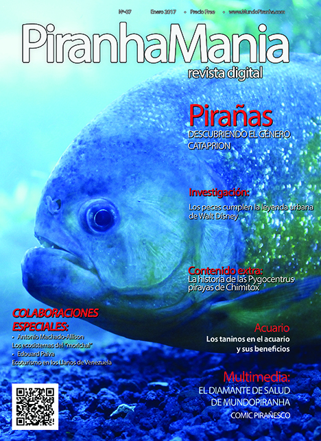 Piranhamania7